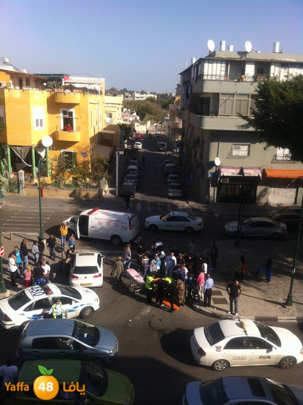 shderotaccbike84 (2).jpg